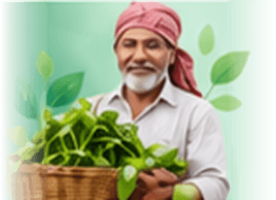 খামারী